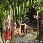 Dhulgram 03